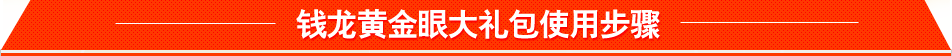 钱龙黄金眼大礼包使用步骤