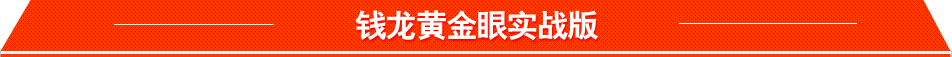 钱龙黄金眼实战版